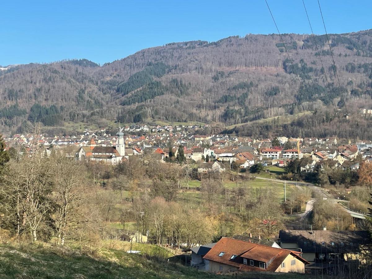 Wehr Orchidee Wehr (Baden-Wurttemberg)