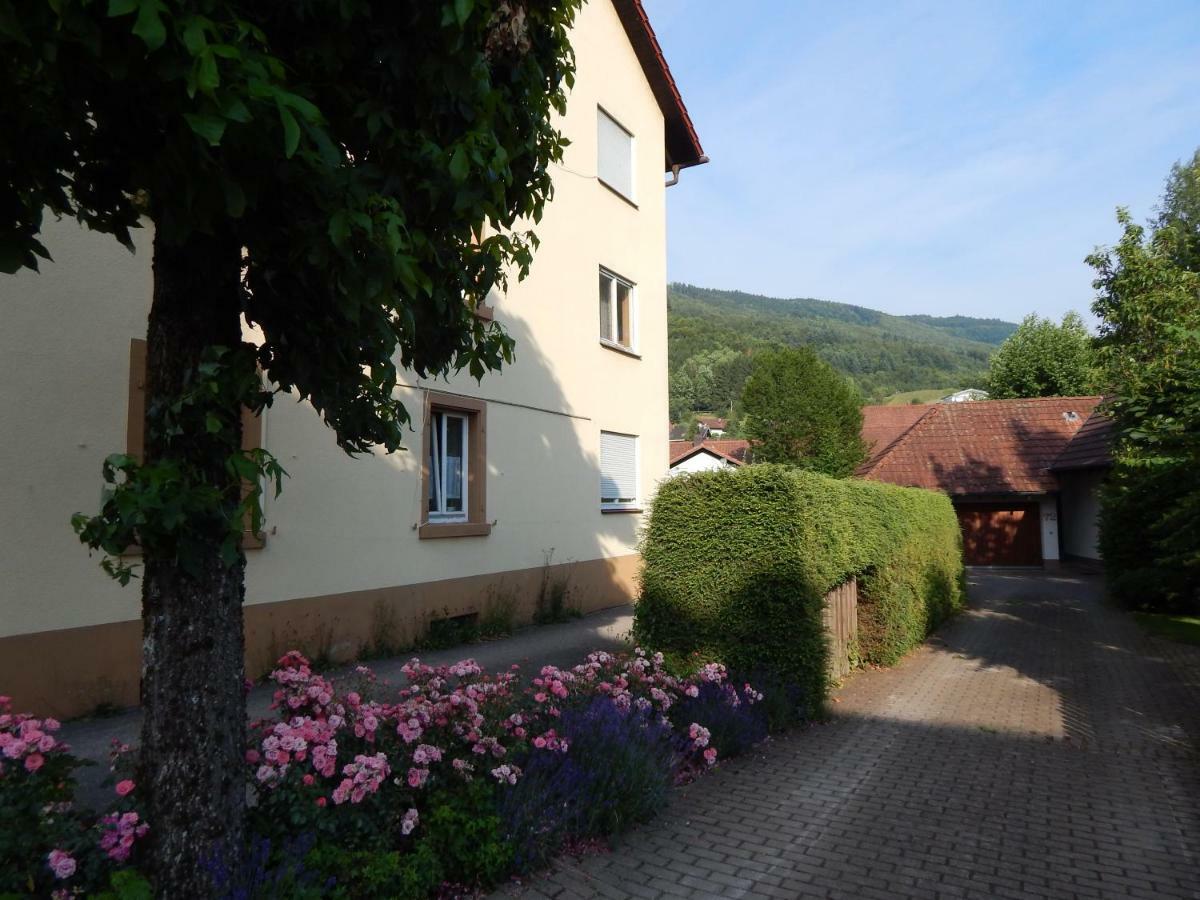 Wehr Orchidee Apartment *
